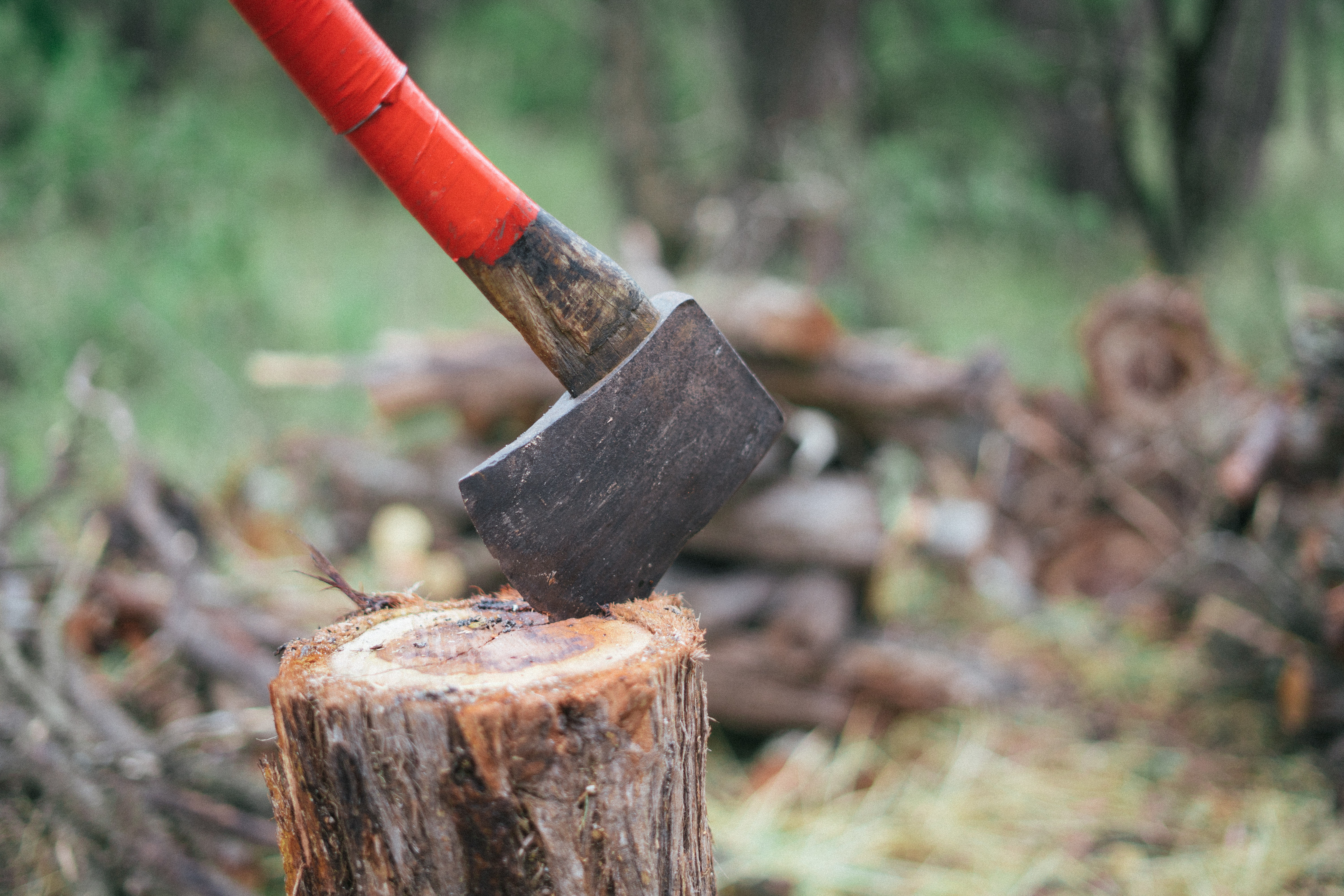 Card image cap of an axe in wood